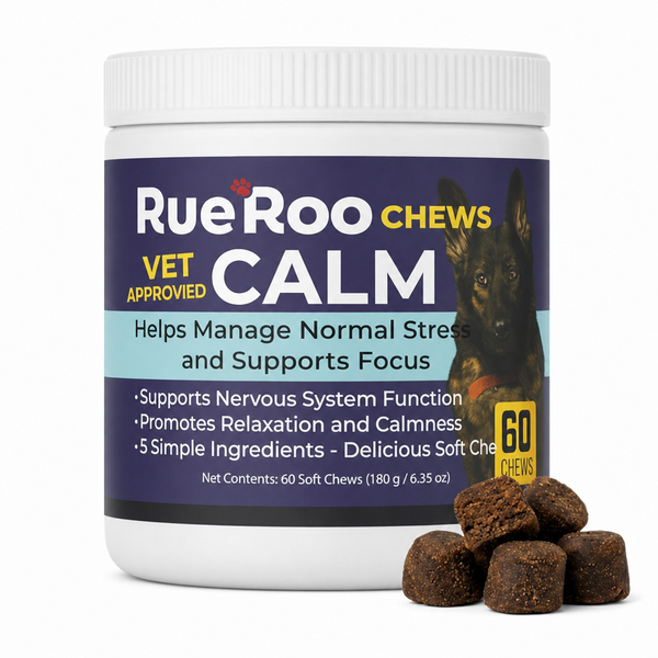 RueRoo Dog Calm Chews jar with soft chews, 60 count calming supplement for dogs